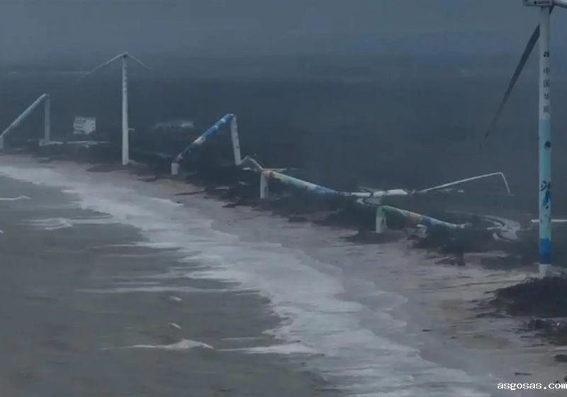 点点手机版下载能不能扛住台风？