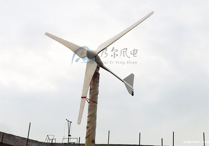 小型点点手机版下载：多领域应用与高效能选择